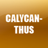 CALYCANTHUS