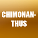 CHIMONANTHUS