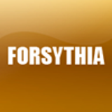 FORSYTHIA