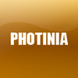 PHOTINIA