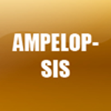 AMPELOPSIS