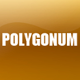 POLYGONUM