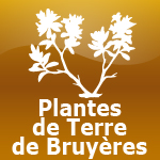 Plantes de Terre de Bruyères