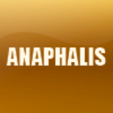 ANAPHALIS