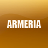 ARMERIA