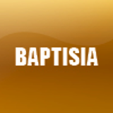 BAPTISIA