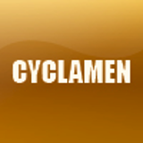 CYCLAMEN