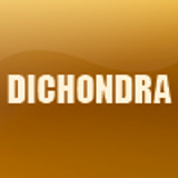 DICHONDRA