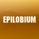 EPILOBIUM
