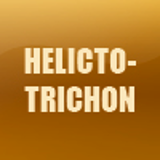 HELICTOTRICHON