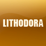 LITHODORA