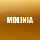 MOLINIA