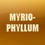 MYRIOPHYLLUM