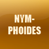 NYMPHOIDES