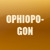 OPHIOPOGON