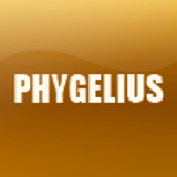 PHYGELIUS