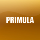 PRIMULA