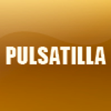 PULSATILLA