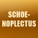 SCHOENOPLECTUS